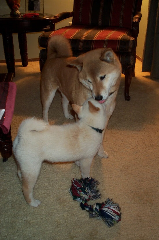 kaiyun官方网站-特色小镇篮球运动场建设提速，推动地区体育旅游，篮球场建成