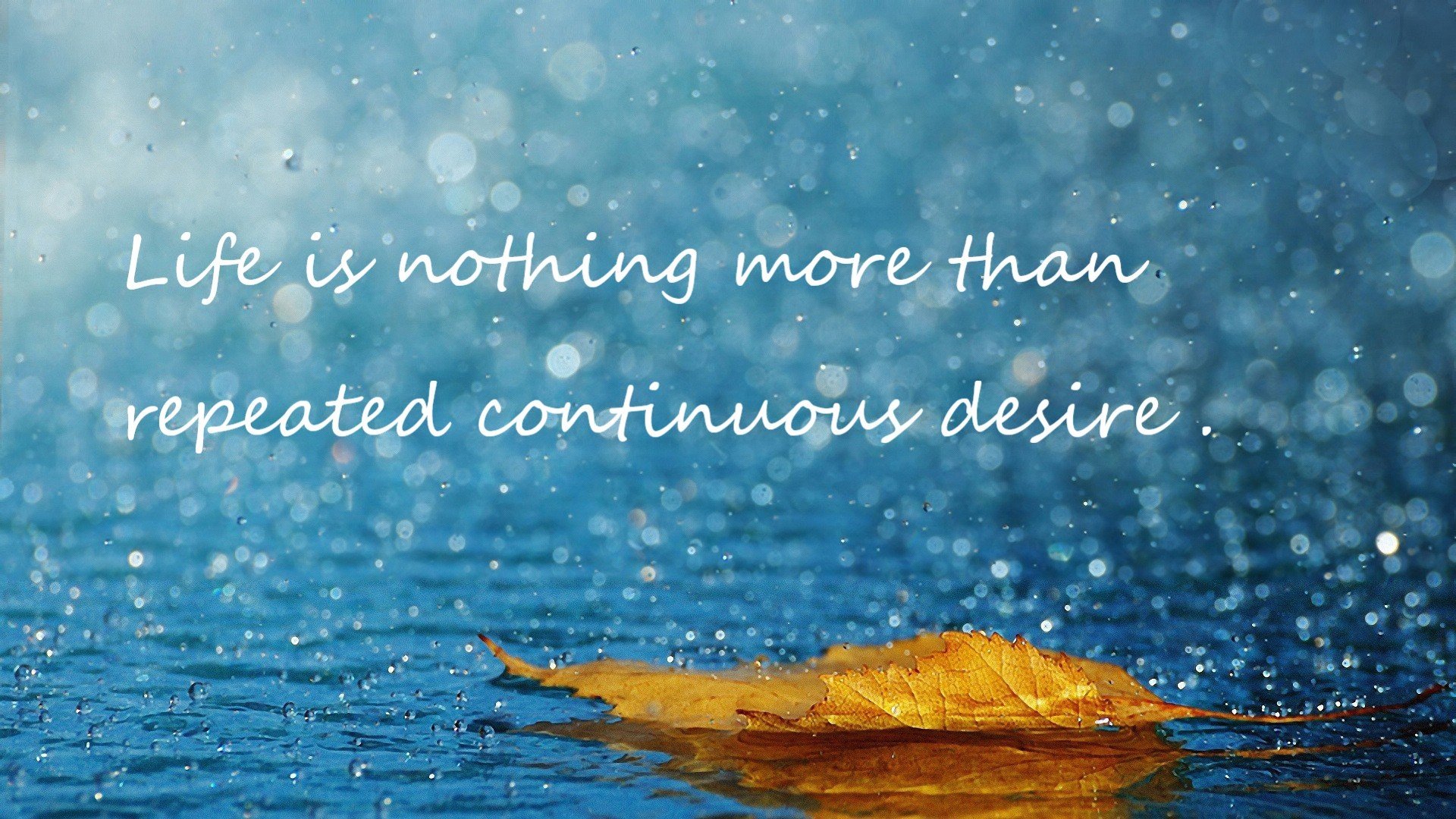 开云体育APP下载-运动员权益保障法律法规不断完善，行业环境逐步优化，运动员权利