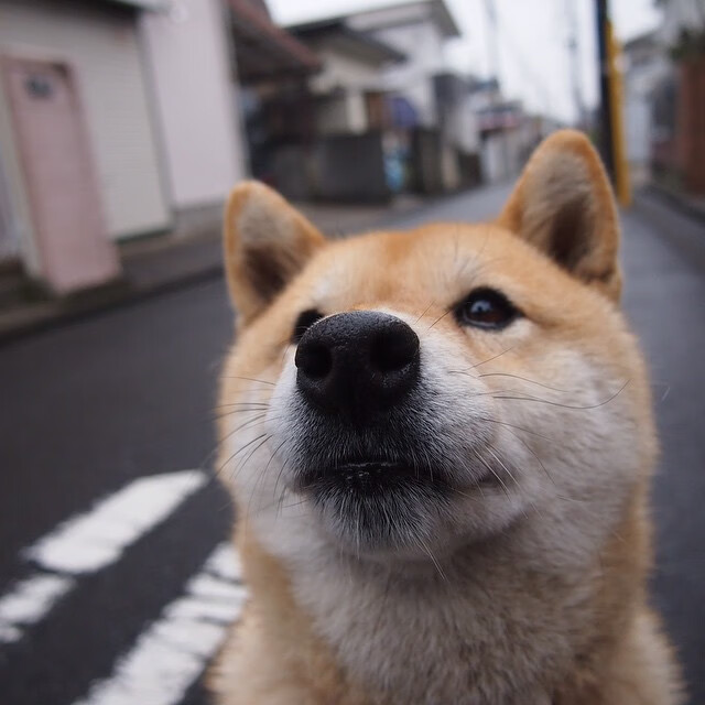 开云·体育官网-C9举办线下粉丝见面会，九月粉丝见面会