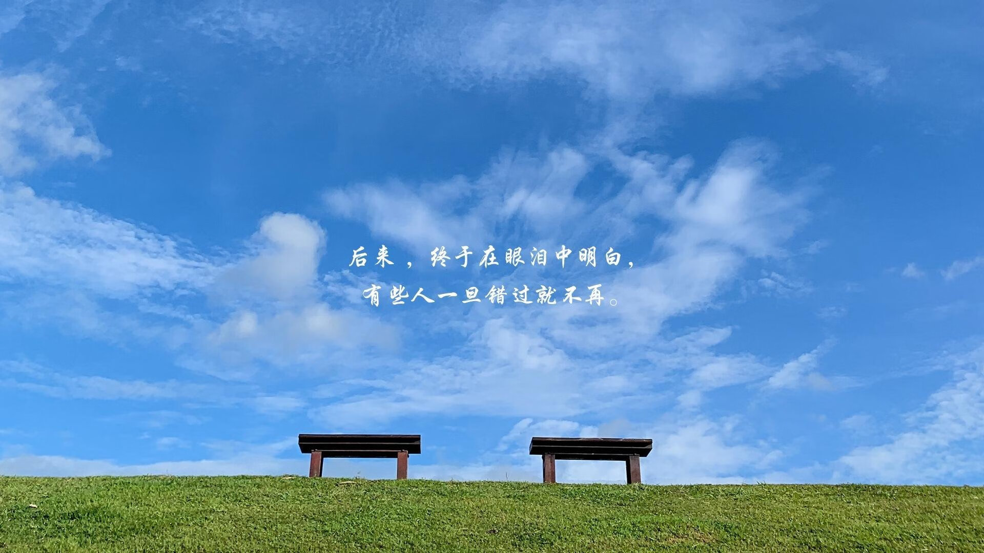 LEC战队Vitality启用全新战术分析团队,lecmad战队