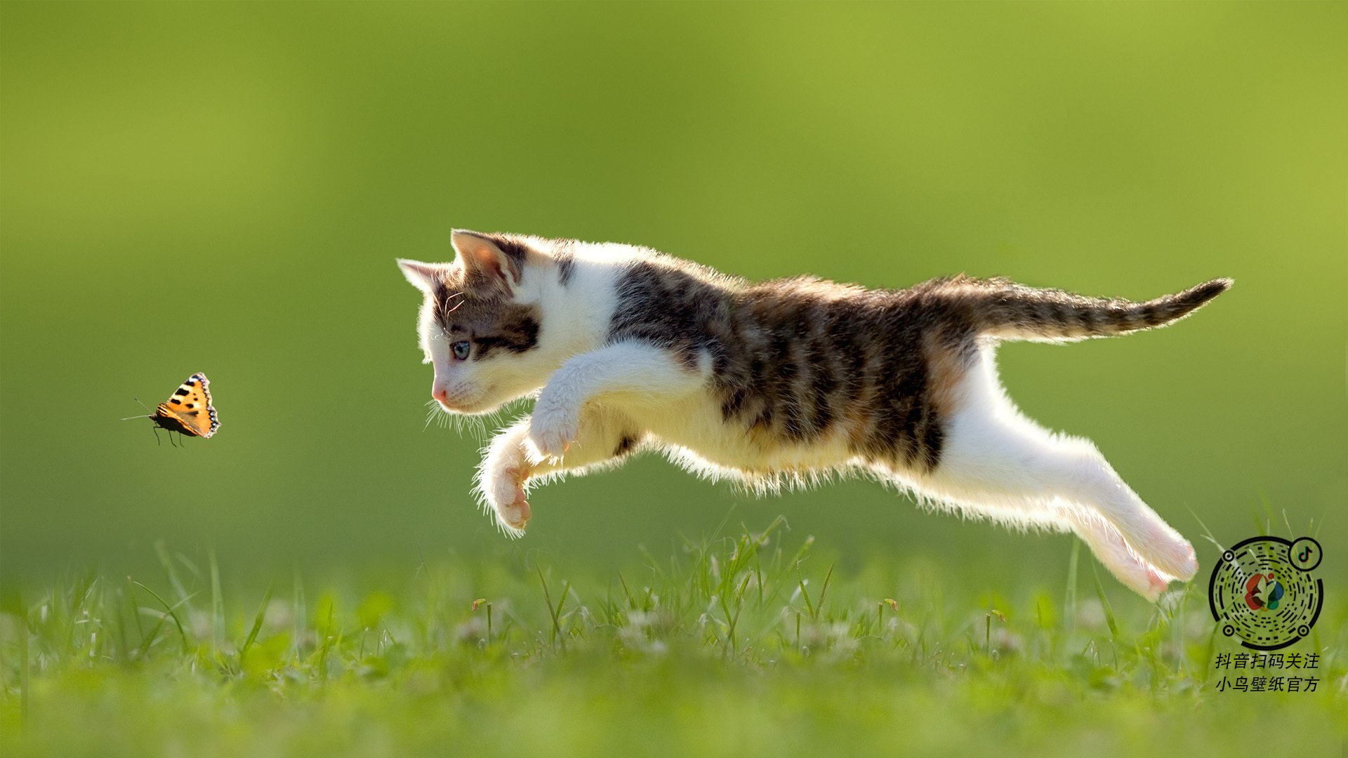 开云网站-佩纳罗尔冲击联赛冠军，佩纳罗尔vs巴拉纳竞技