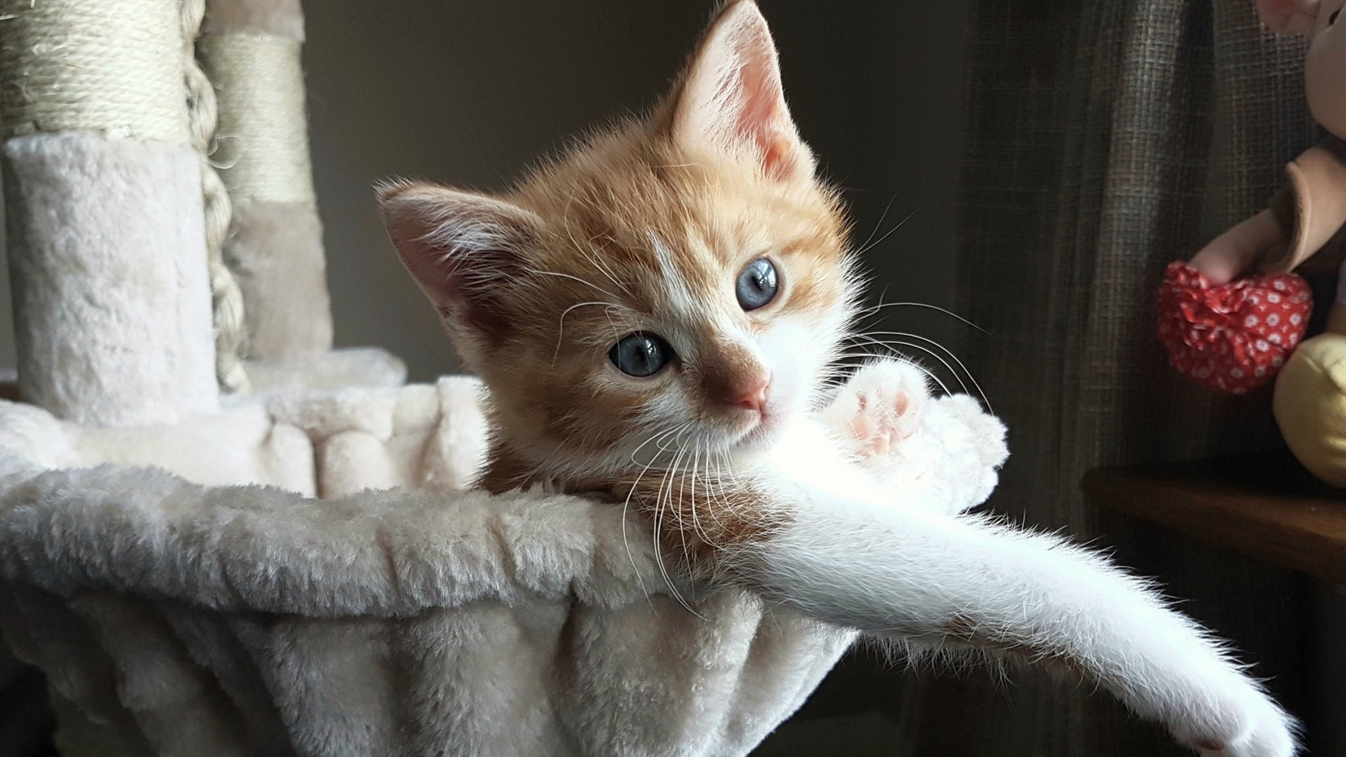 千叶喷射机防守体系日益完善,千叶喷射机什么水平