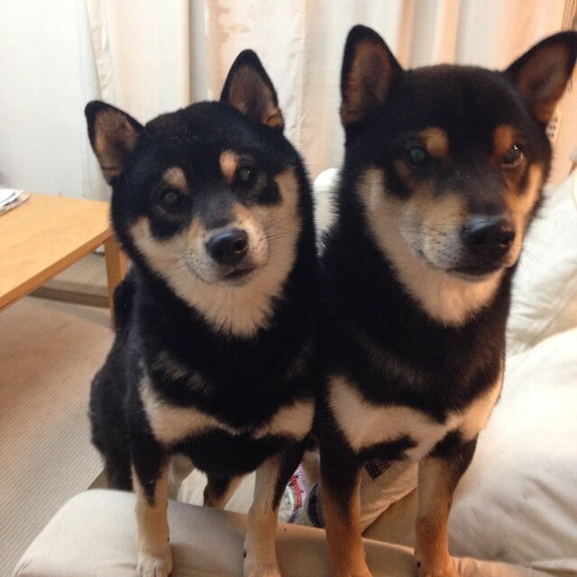 kaiyun体育app-断霸区：利物浦豪取胜利进可击败拜仁慕尼黑，利物浦补时绝杀