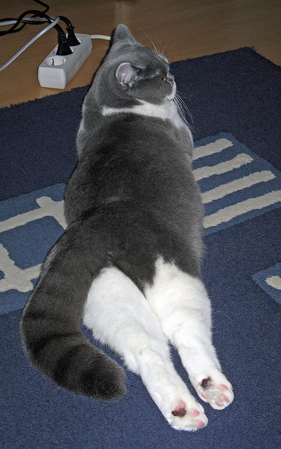 开云中国大陆-普拉提课程在老年人群体中推广，改善身体功能，普拉提 老人