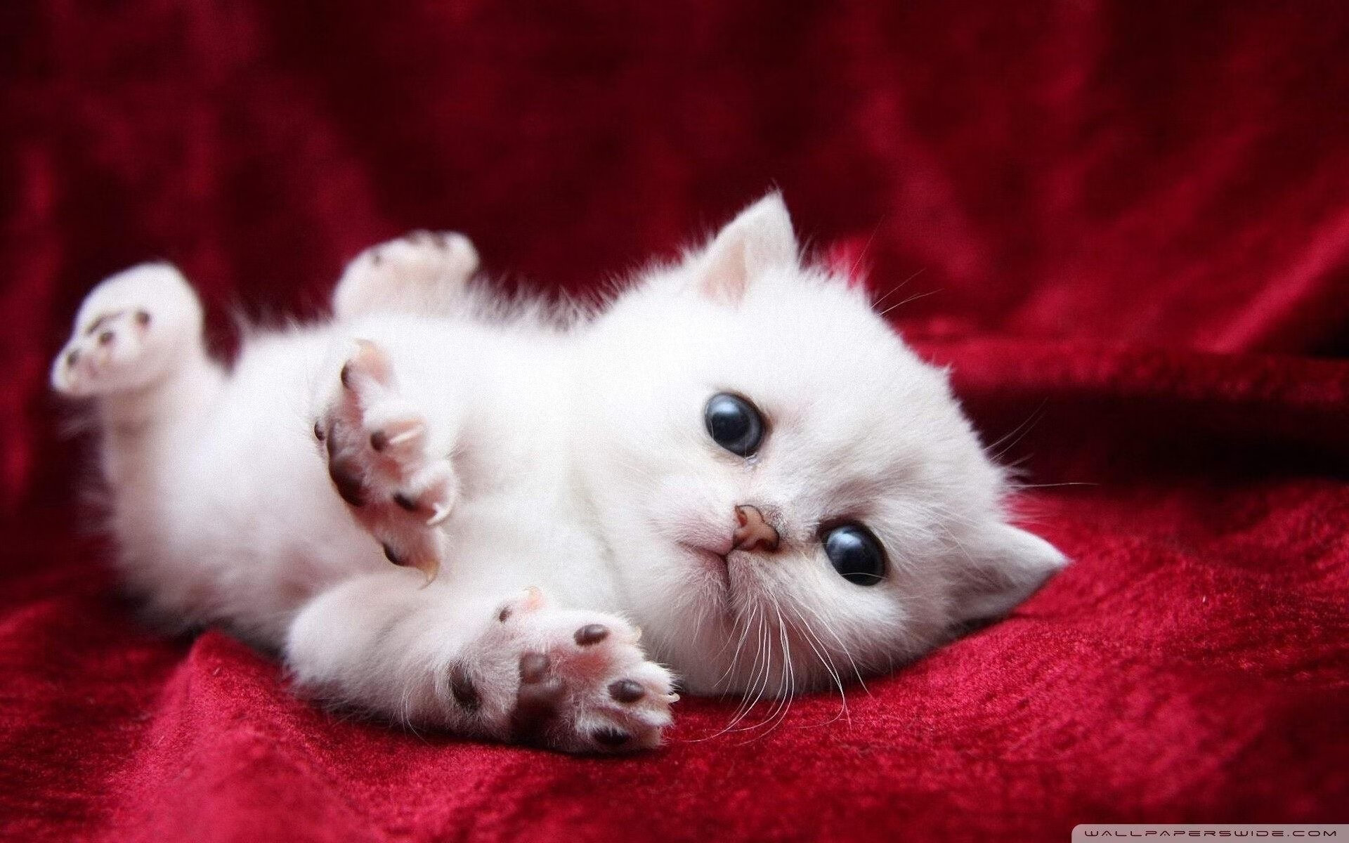 开云体育APP下载-比利亚雷亚尔击败塞维利亚，继续保持不败，比利亚雷亚尔对塞维利亚比分