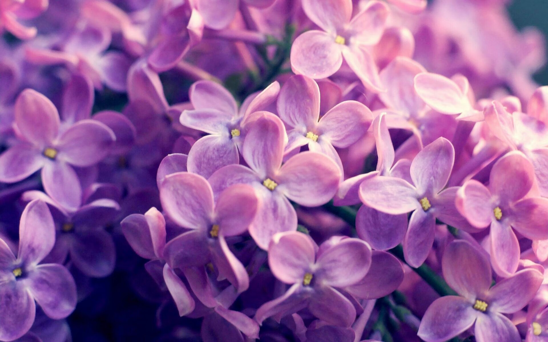 Kaiyun官方登录入口-澳大利亚球队体能储备充足，澳大利亚球员