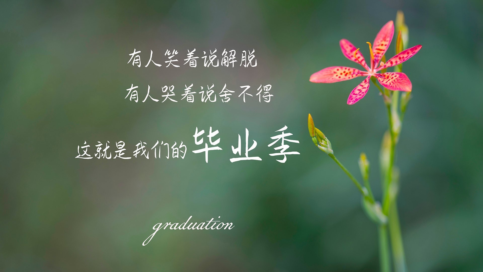 开云官网APP下载-篮球运动员比赛策略研究，篮球技巧比赛策划书