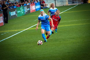 开云入口-中国篮球职业联赛俱乐部财务风险管理，篮球俱乐部财务制度