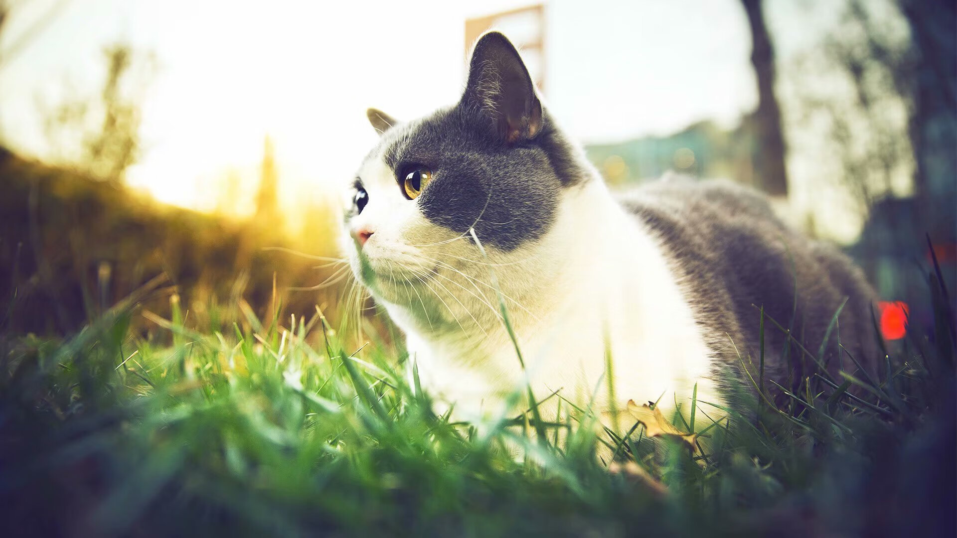 中小学体育课堂教学改革实践与效果评估,中学体育课堂改革研究