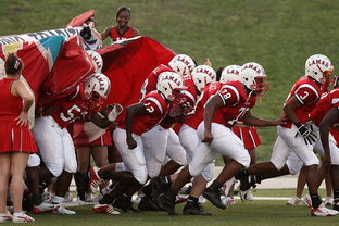 开云入口-青少年体育参与行为及其影响机制探讨，青少年体育参与行为及其影响机制探讨论文