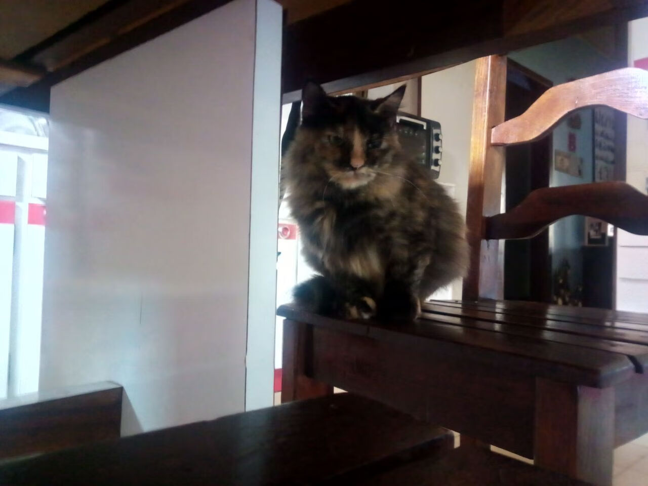 冲刺阶段划频加快,竞争力提升,冲刺阶段怎么做