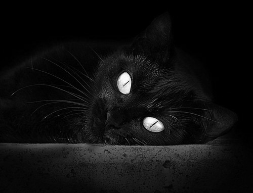 开云网站-节奏变化是否应成为球队核心轮换时考虑的因素，节奏变化的基本方式