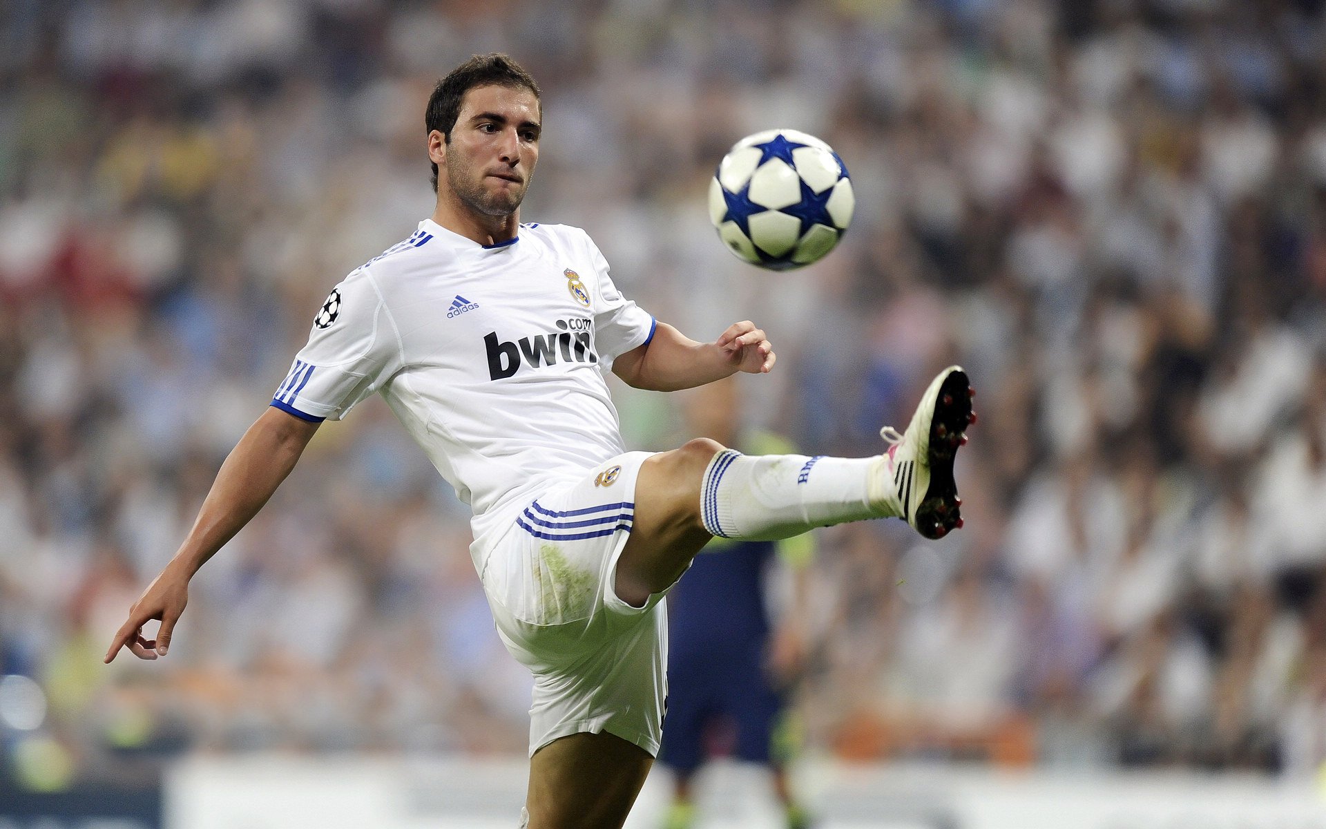 KAIYUN 中国大陆-从新秀到巨星的成长轨迹，从新秀到巨星的成长轨迹漫画