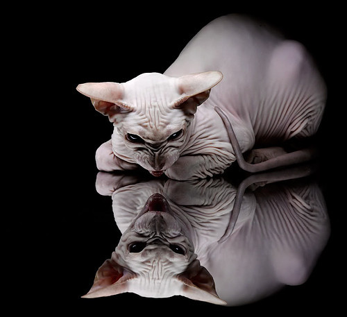 开云平台-凯尔·查默斯精彩表现助力团队荣誉，凯尔查尔莫斯游泳