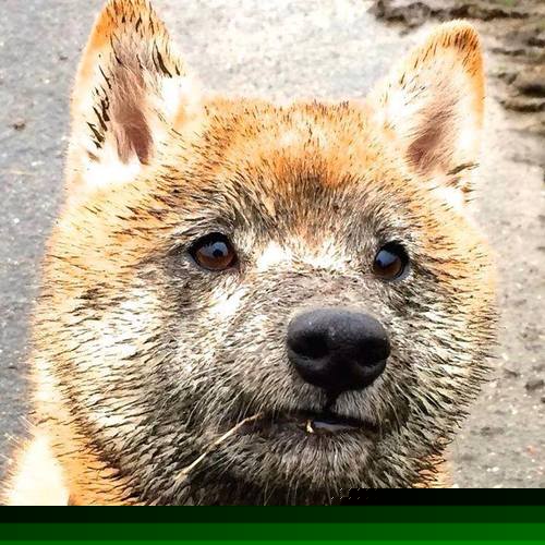 热火主帅表示替补阵容将成为球队核心武器,热火主要球员