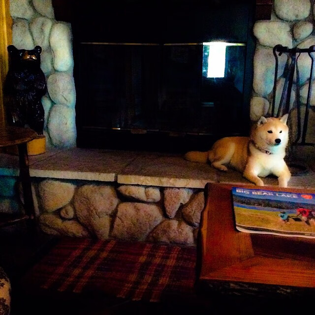 球员转会窗口闭合，多宗大牌交易尘埃落定，真实的球员转会消息一般不会来自哪里