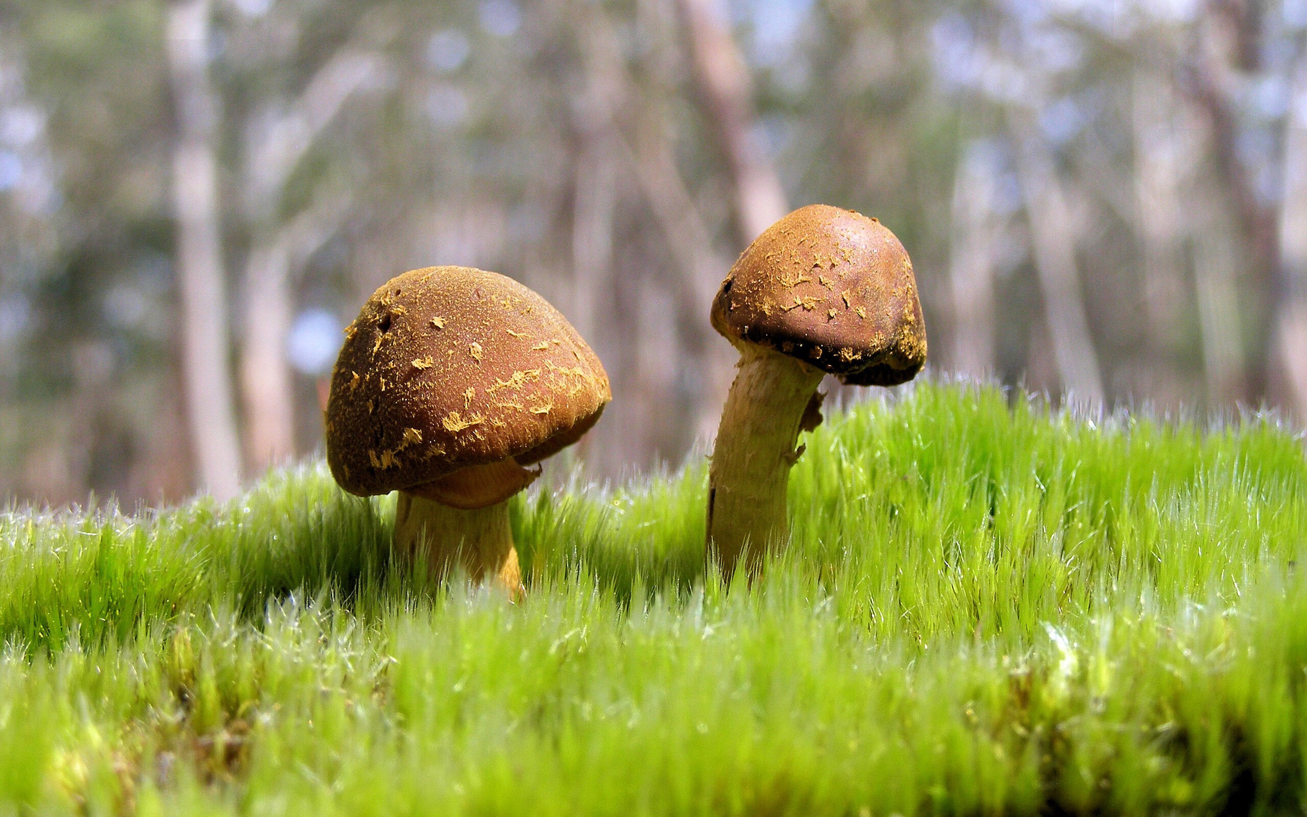 职业联赛完善运动员合同管理规范保障权益,运动员合同排名